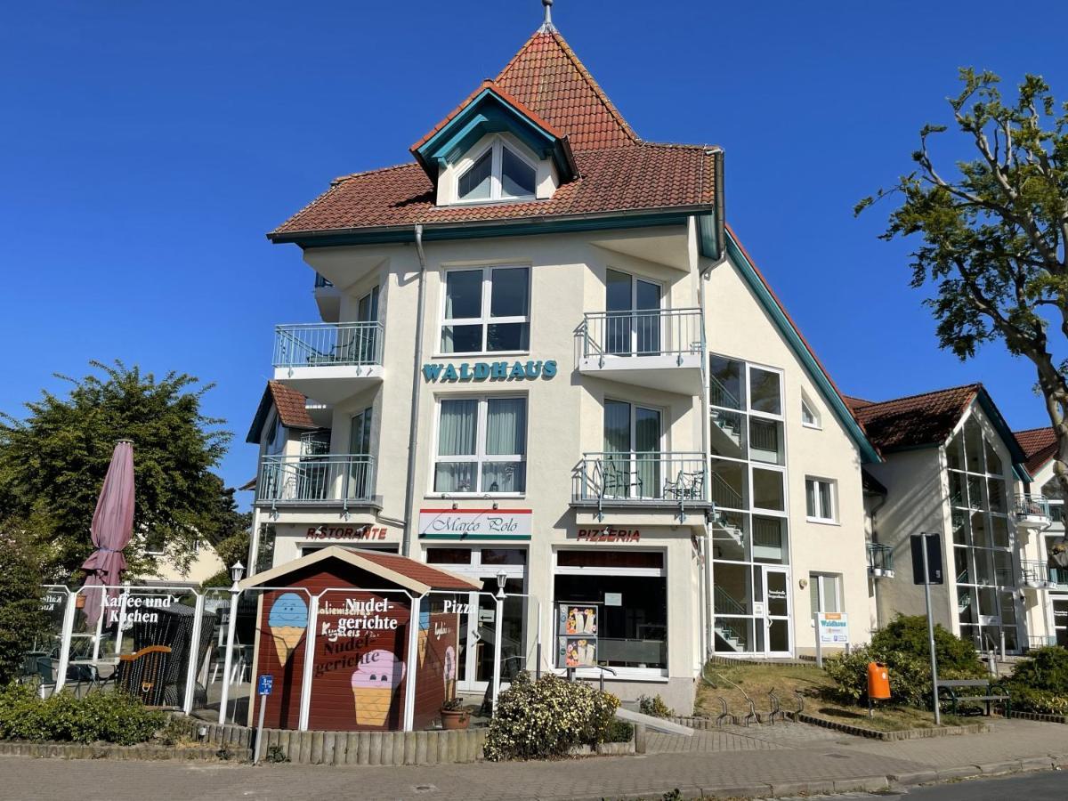 Jette * Zempin